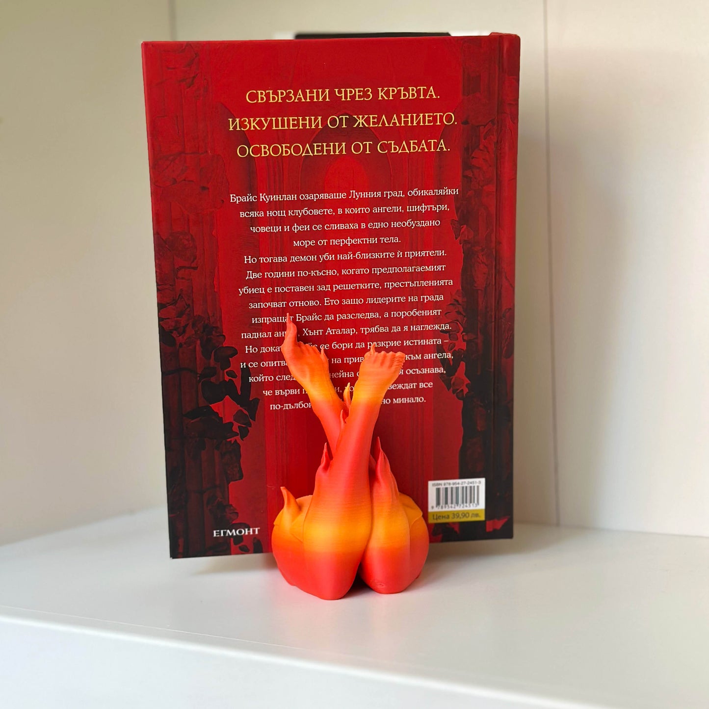 Поставка за книги на Лехаба