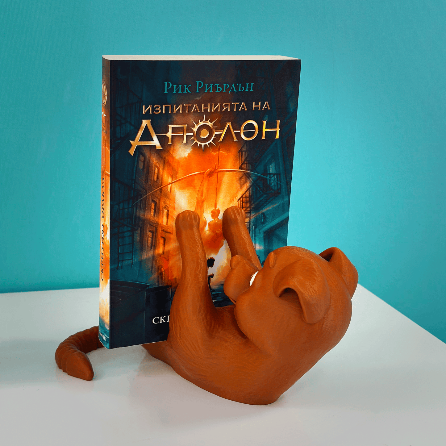 Куче стойка за книга