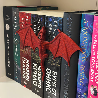 Дракон шелфи