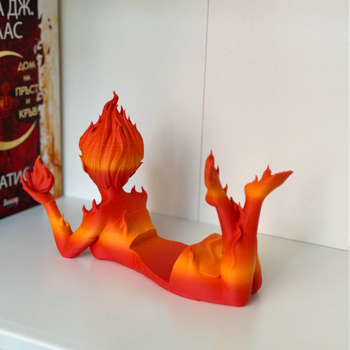 Поставка за книги на Лехаба