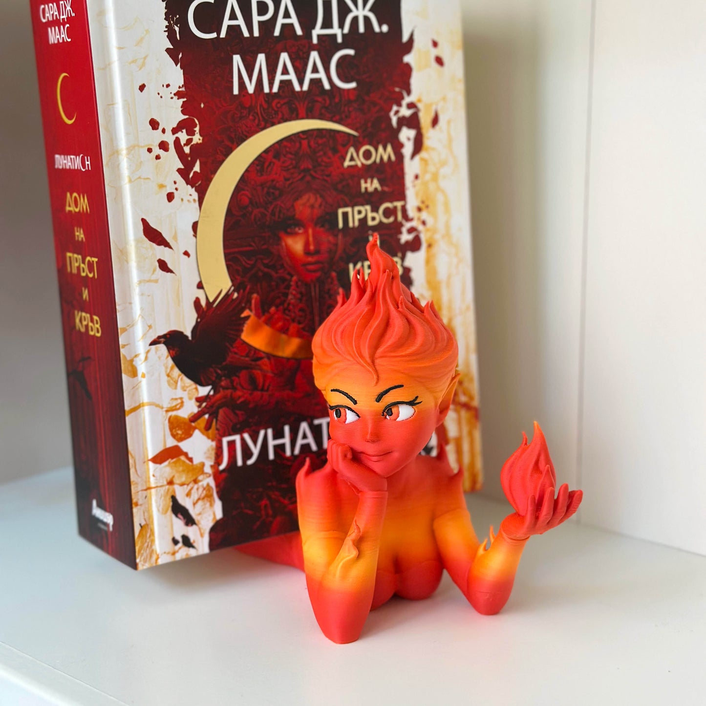 Поставка за книги на Лехаба