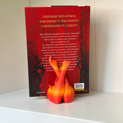 Поставка за книги на Лехаба