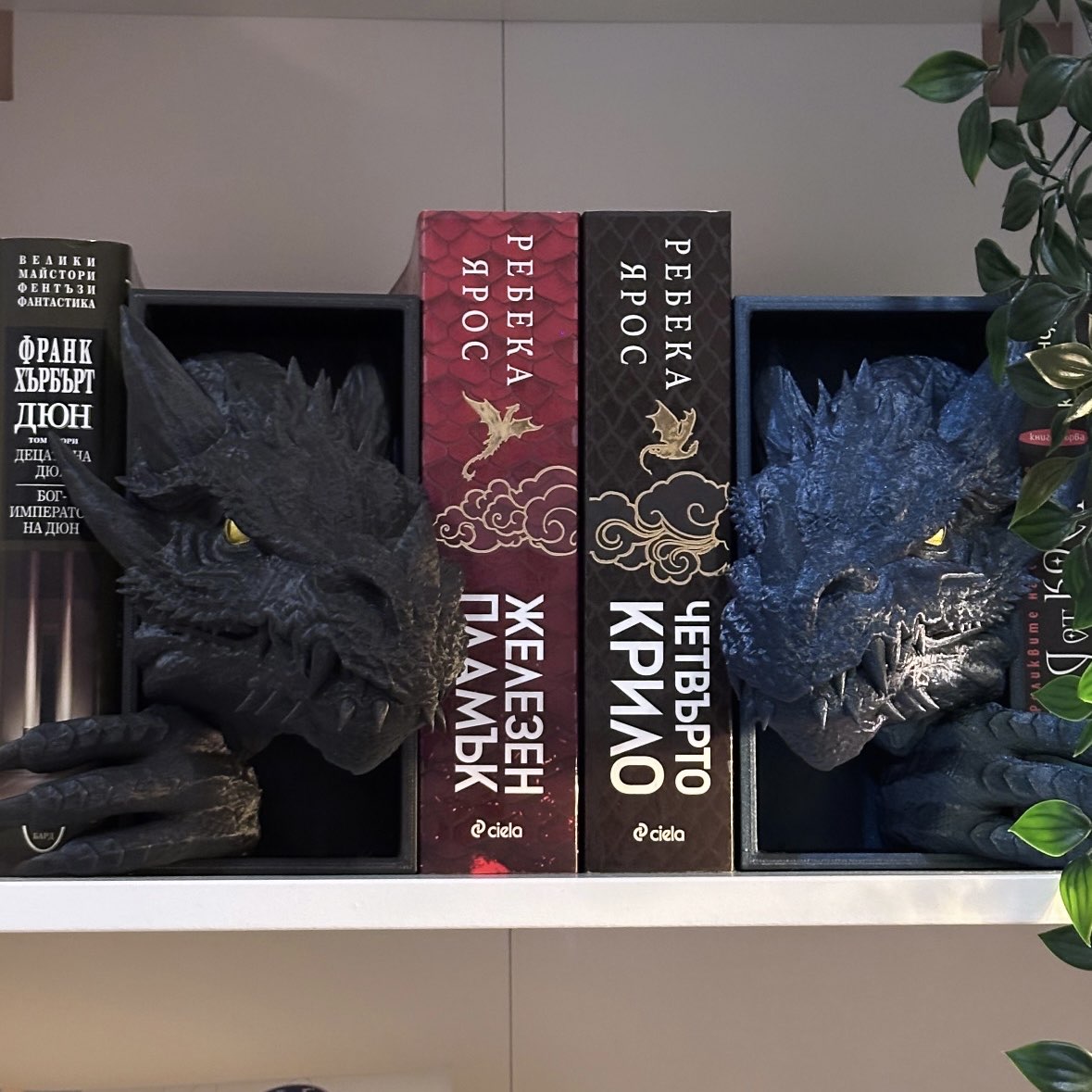 Дракон и опашка книгоразделител