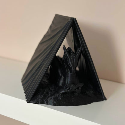 Поставка за книга Четящ дракон